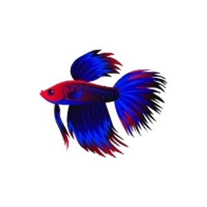 Sonic Starburst Betta